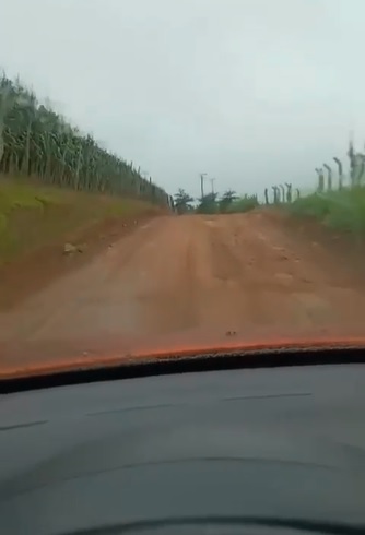 Vereador cobra manutenção de estrada vicinal em Paripiranga