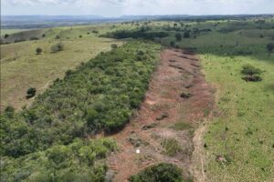 PM flagra crime ambiental na zona rural de Pedra Mole