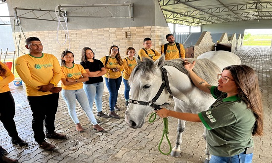 Senar abre inscrições para cursos gratuitos no setor agropecuário