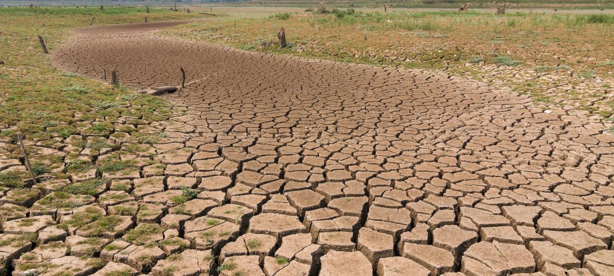 Tobias Barreto, Poço Verde e Pinhão estão em situação de emergência por estiagem e seca